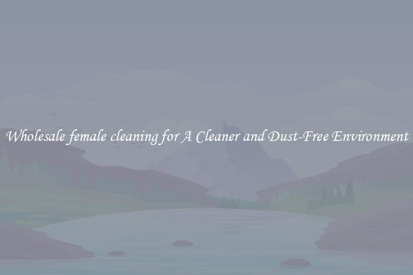 Wholesale female cleaning for A Cleaner and Dust-Free Environment