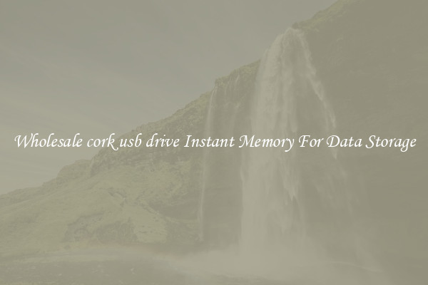 Wholesale cork usb drive Instant Memory For Data Storage