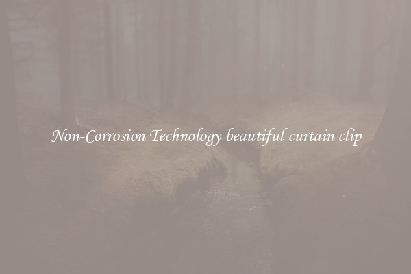 Non-Corrosion Technology beautiful curtain clip