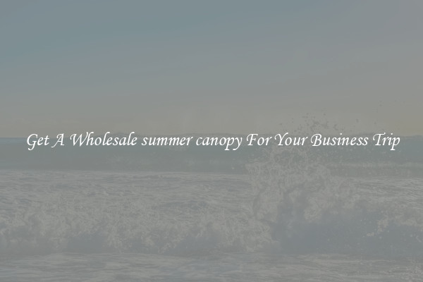 Get A Wholesale summer canopy For Your Business Trip
