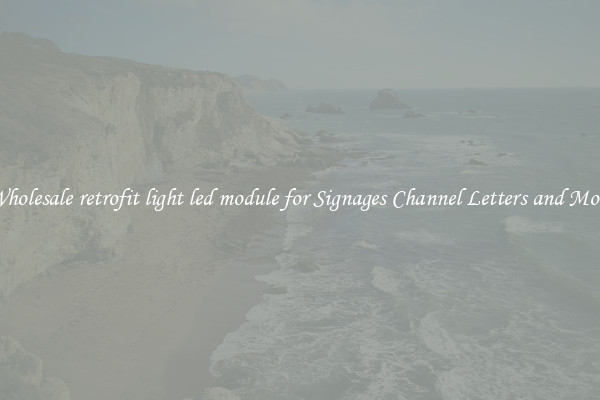 Wholesale retrofit light led module for Signages Channel Letters and More