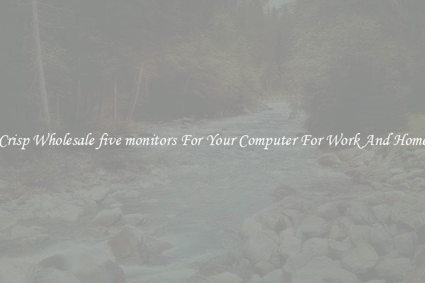 Crisp Wholesale five monitors For Your Computer For Work And Home