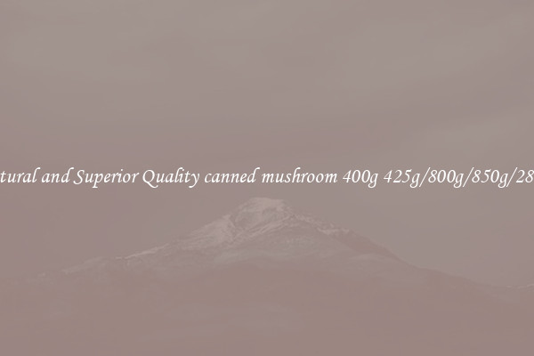 Natural and Superior Quality canned mushroom 400g 425g/800g/850g/2840g