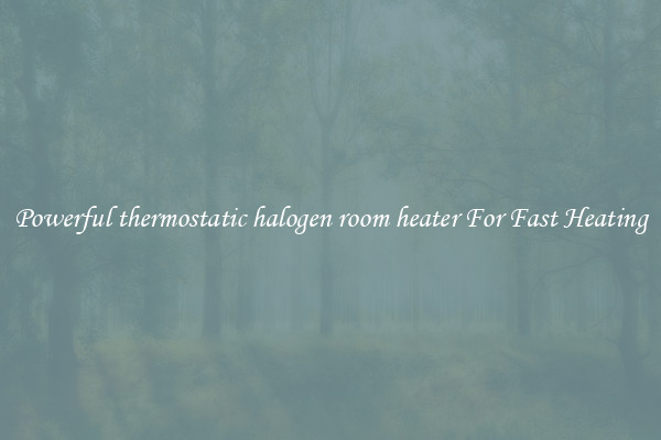 Powerful thermostatic halogen room heater For Fast Heating