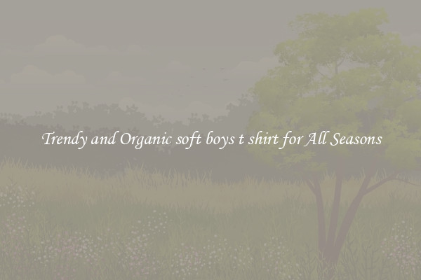 Trendy and Organic soft boys t shirt for All Seasons