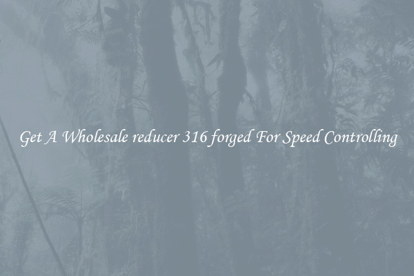 Get A Wholesale reducer 316 forged For Speed Controlling