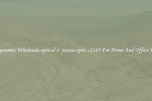 Ergonomic Wholesale optical ic mouse optic c2165 For Home And Office Use.