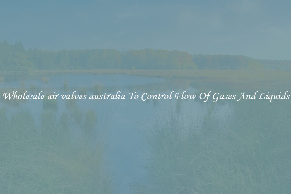 Wholesale air valves australia To Control Flow Of Gases And Liquids