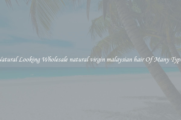 Natural Looking Wholesale natural virgin malaysian hair Of Many Types