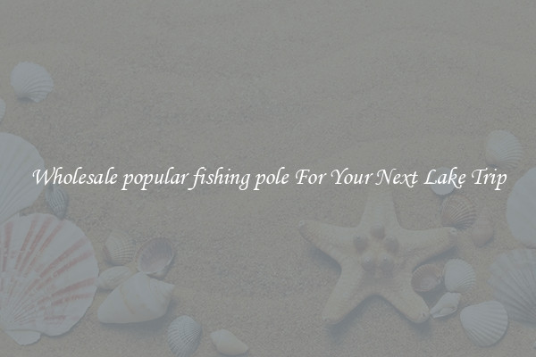 Wholesale popular fishing pole For Your Next Lake Trip