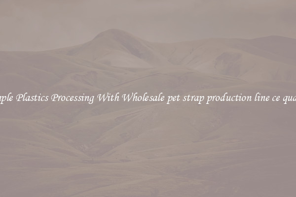 Simple Plastics Processing With Wholesale pet strap production line ce quality