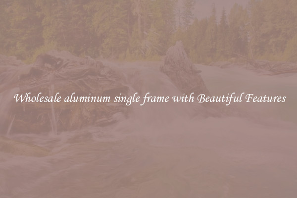Wholesale aluminum single frame with Beautiful Features
