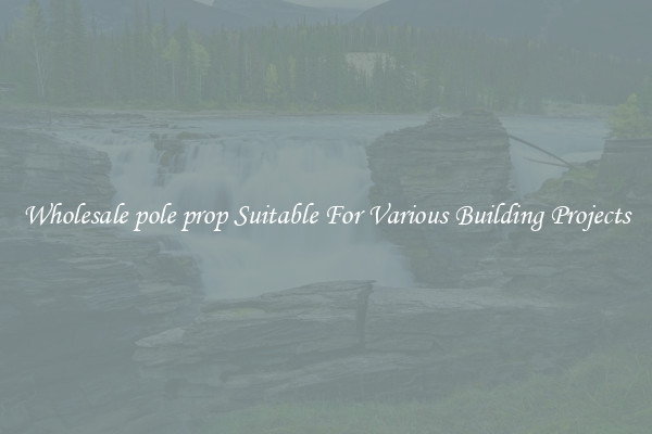 Wholesale pole prop Suitable For Various Building Projects