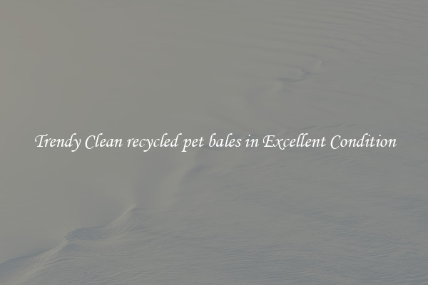 Trendy Clean recycled pet bales in Excellent Condition