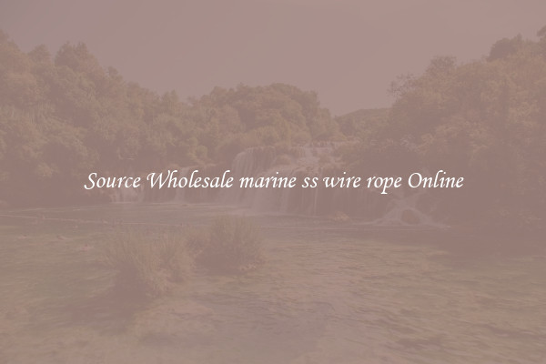 Source Wholesale marine ss wire rope Online