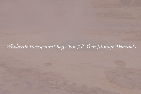 Wholesale transperant bags For All Your Storage Demands