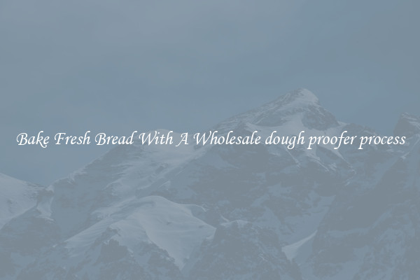 Bake Fresh Bread With A Wholesale dough proofer process